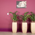 Mekelenkamp kunstplantenwinkel.nl project buitensluit (21 van 25)